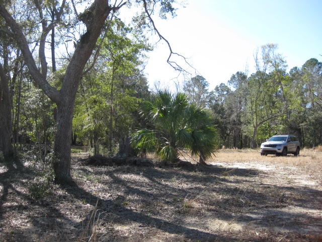 7 Chisolm Plantation Road Edisto Island, SC 29438 - Photo 12 of 16 7E Chisolm Plantation (12)