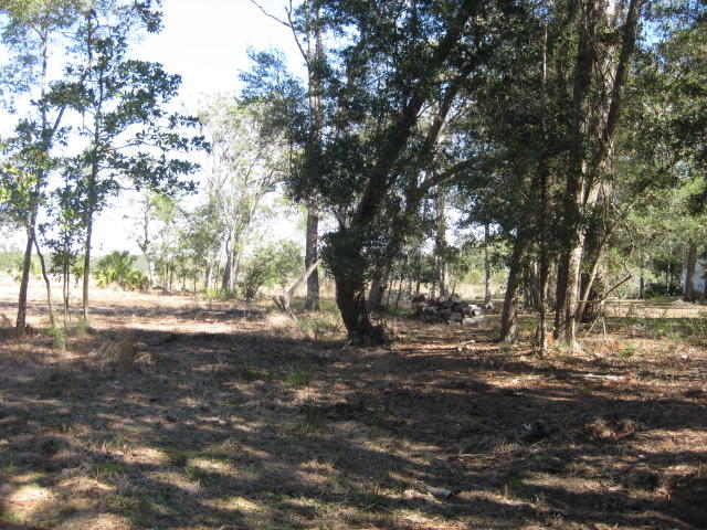 7E Chisolm Plantation (4)