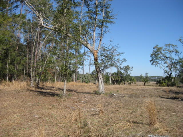 7E Chisolm Plantation (5)