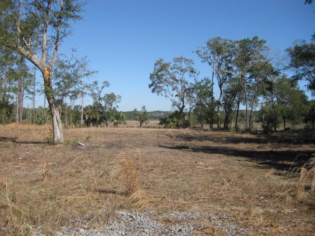 7E Chisolm Plantation (6)