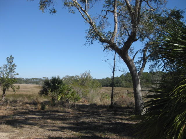 7 Chisolm Plantation Road Edisto Island, SC 29438 - Photo 8 of 16 7E Chisolm Plantation (7)
