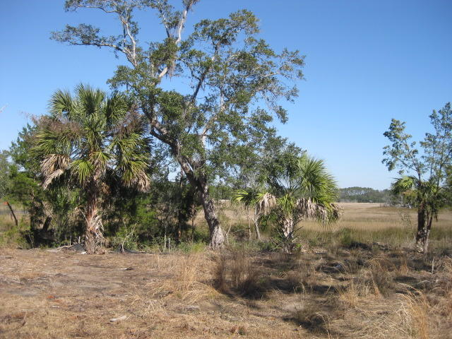 7 Chisolm Plantation Road Edisto Island, SC 29438 - Photo 9 of 16 7E Chisolm Plantation (8)