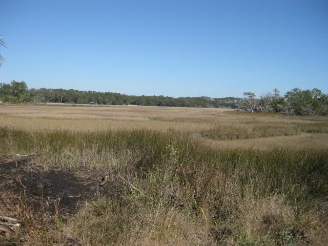 7 Chisolm Plantation Road Edisto Island, SC 29438 - Photo 10 of 16 7E Chisolm Plantation (10)