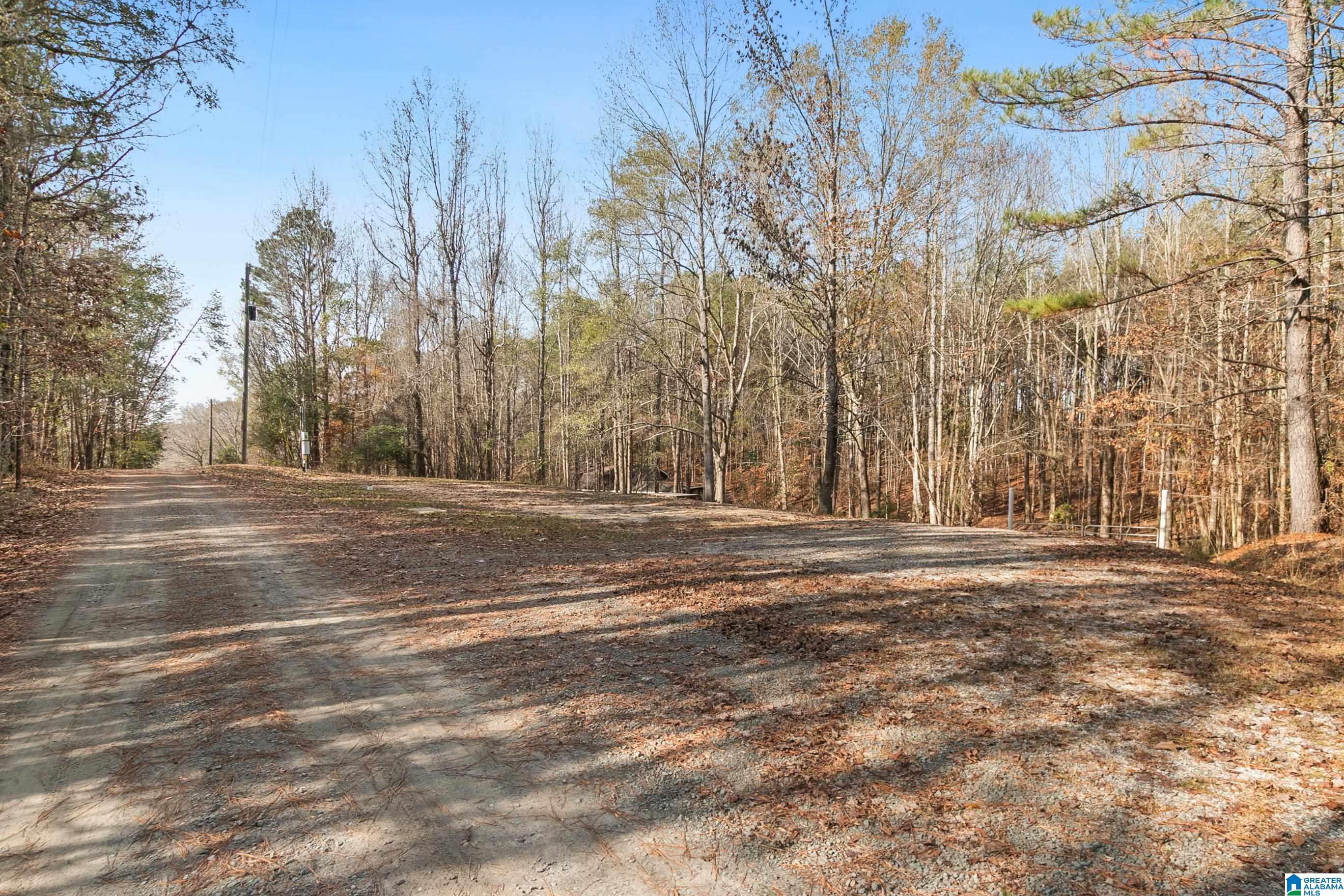 10808 North Haven Road Northport, AL 35475 - Photo 4 of 45