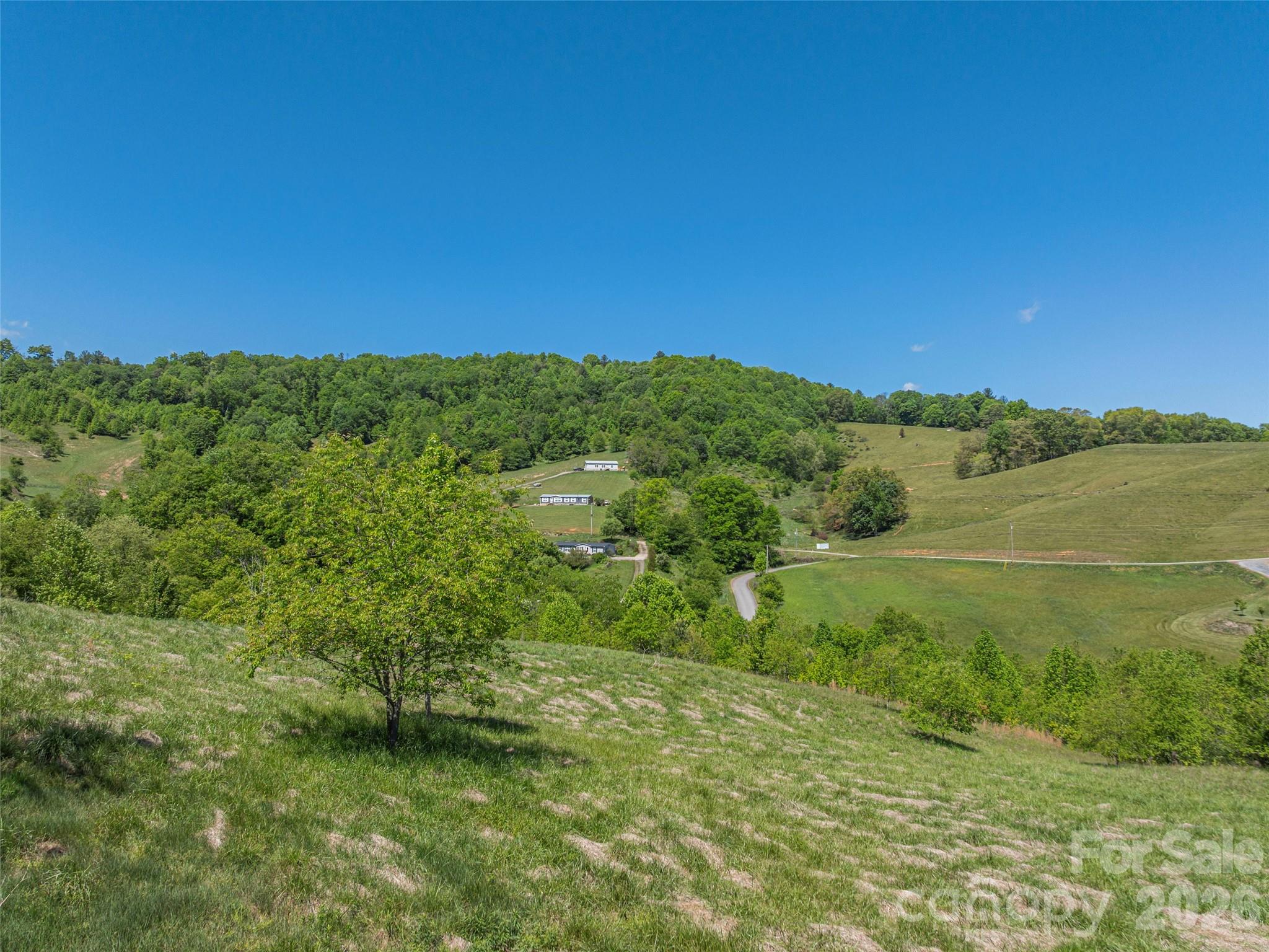 0 Inheritance Mountain Road Waynesville, NC 28785 - Photo 8 of 20