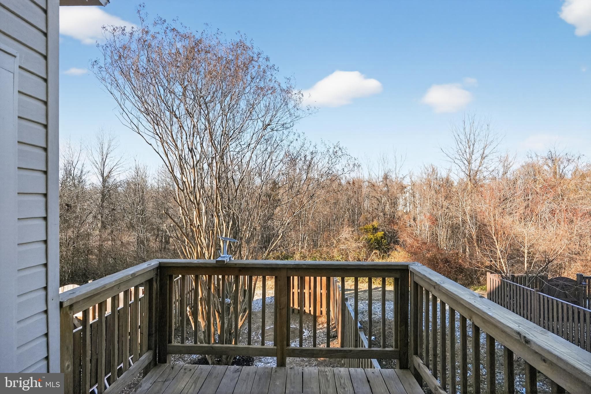 12121 Panthers Ridge Drive Germantown, MD 20876 - Photo 24 of 25