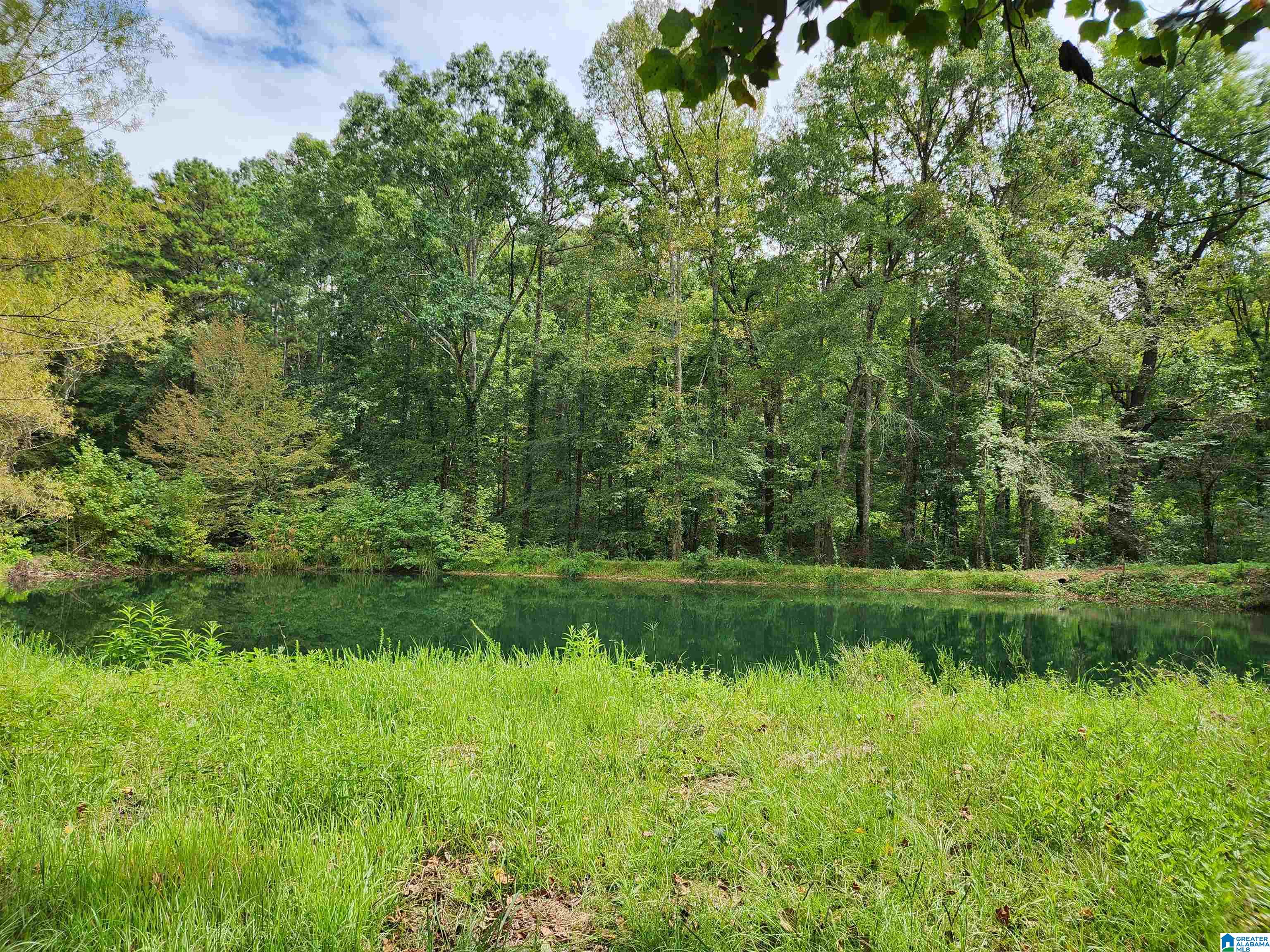 14843 Gallant Road Gallant, AL 35972 - Photo 67 of 100