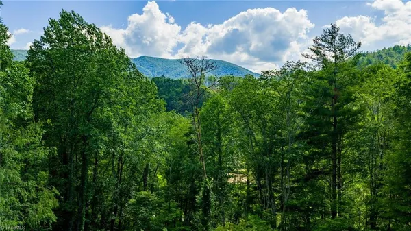 $119,000 | Lot 3 North N Fork, Lansing, NC 28643