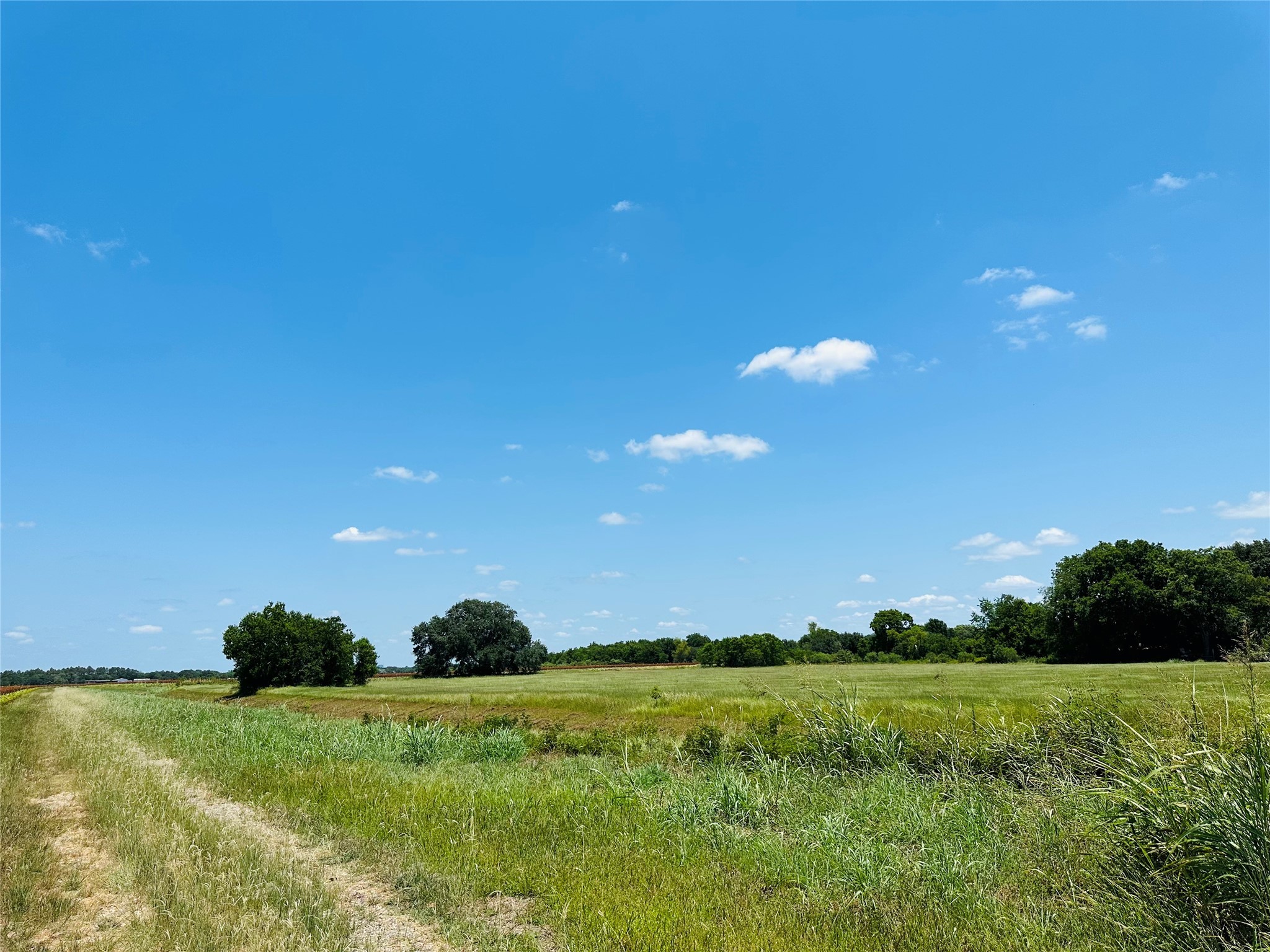 0 Davis Estate Road Needville, TX 77461 - Photo 11 of 22 a view of a grassy field with an trees