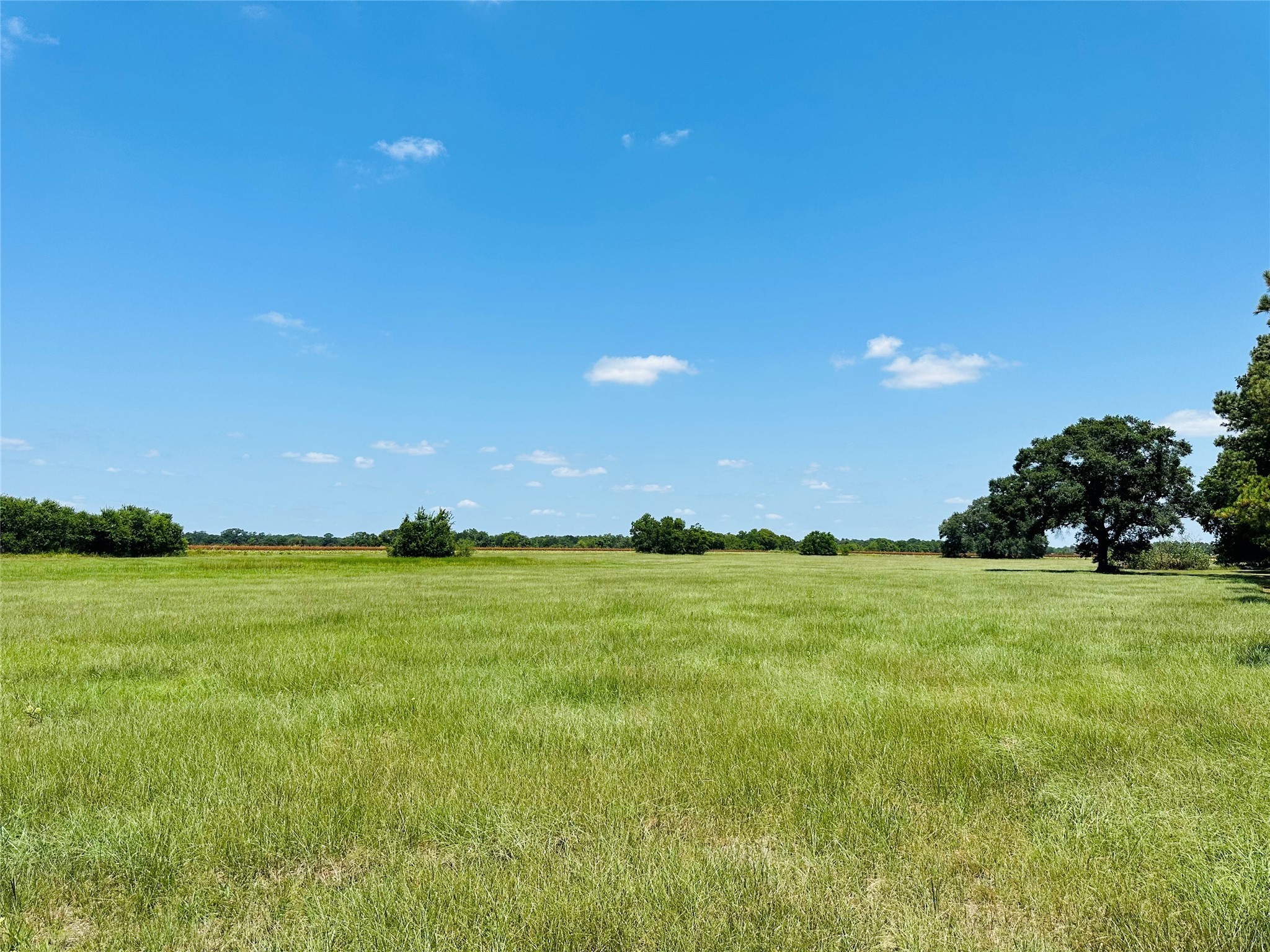 0 Davis Estate Road Needville, TX 77461 - Photo 12 of 22 a view of a big yard of a house with a big yard