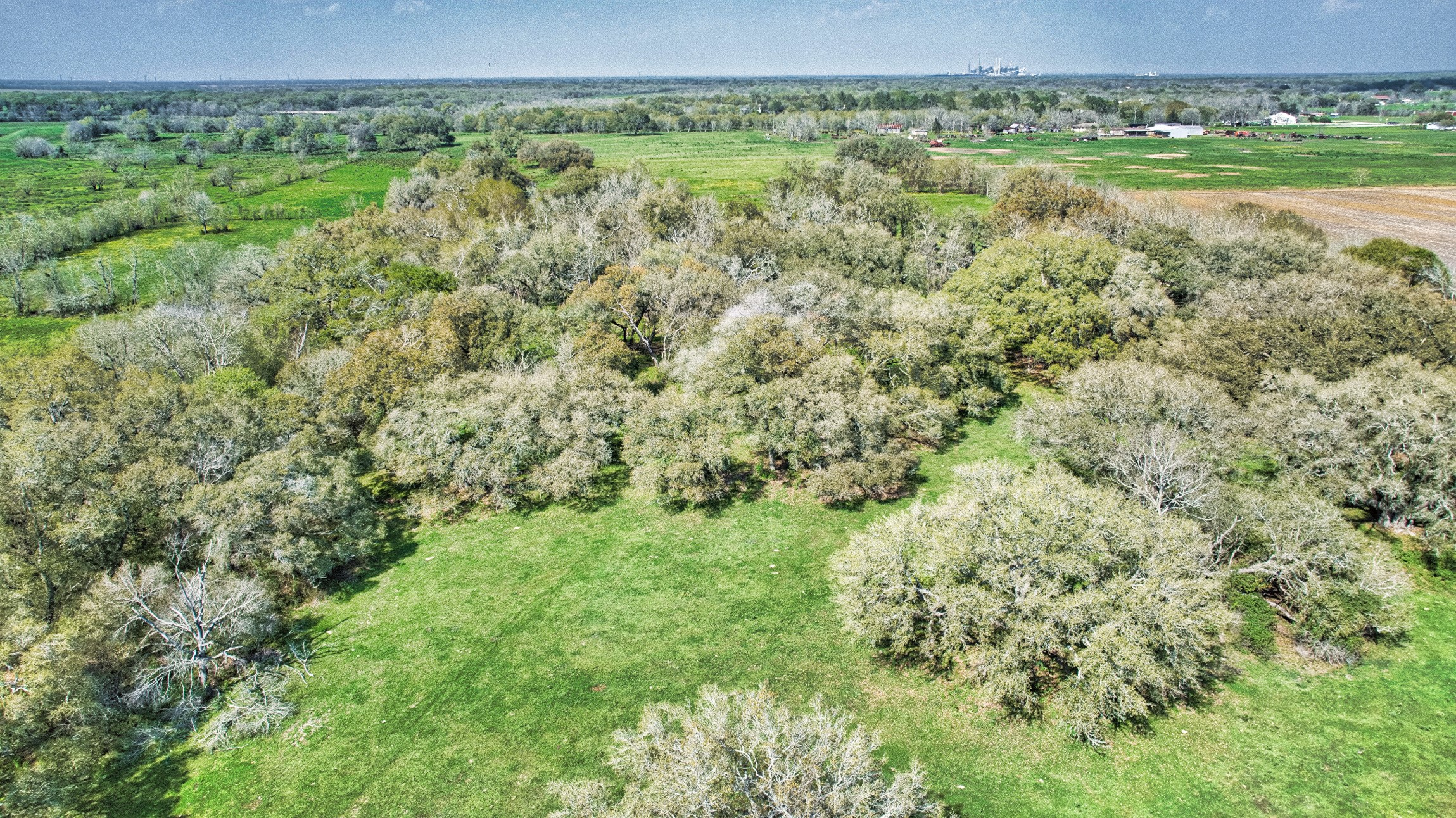 0 Davis Estate Road Needville, TX 77461 - Photo 17 of 22 a view of a green field with lots of bushes