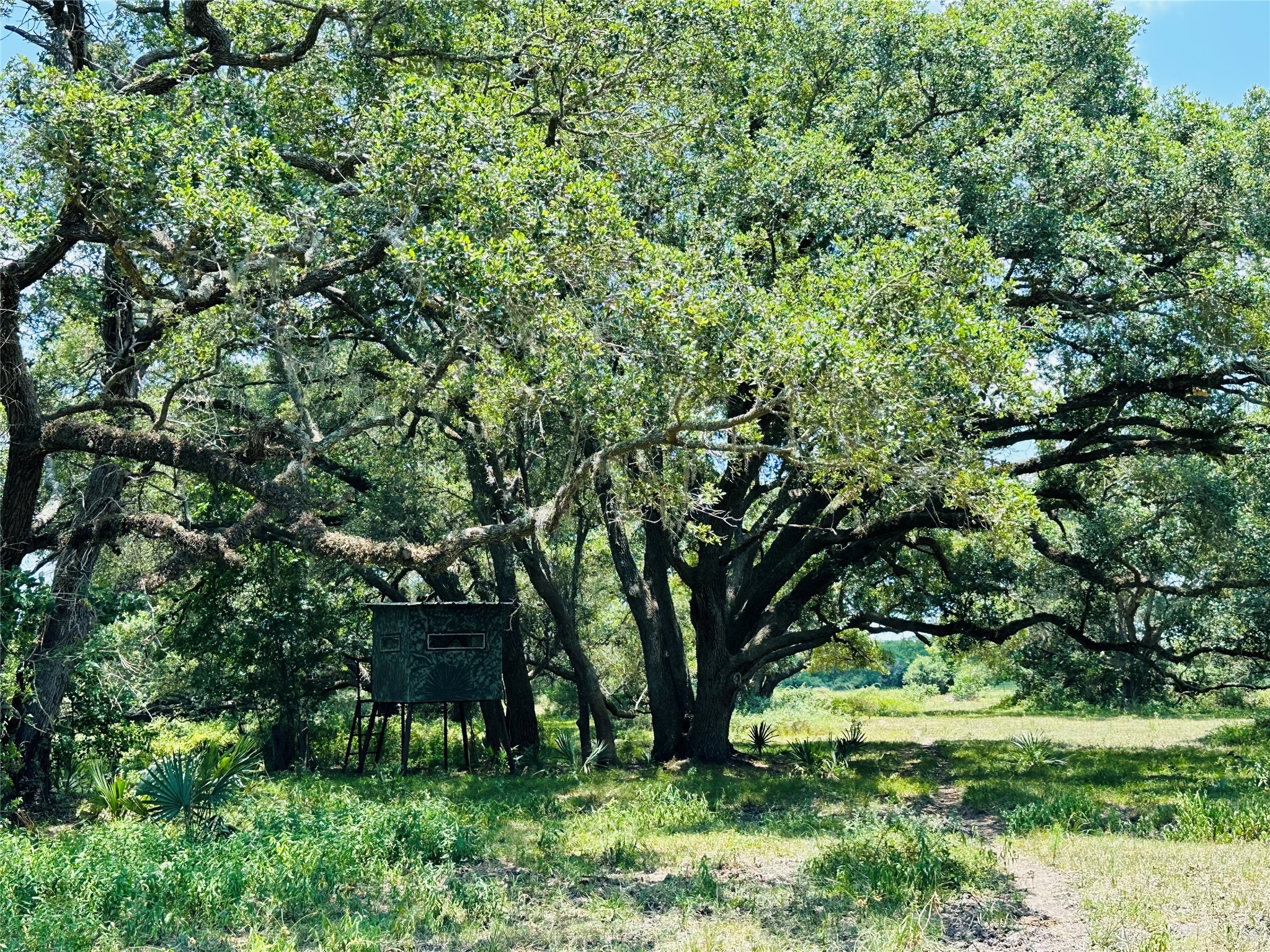 0 Davis Estate Road Needville, TX 77461 - Photo 20 of 22 a view of outdoor space and yard