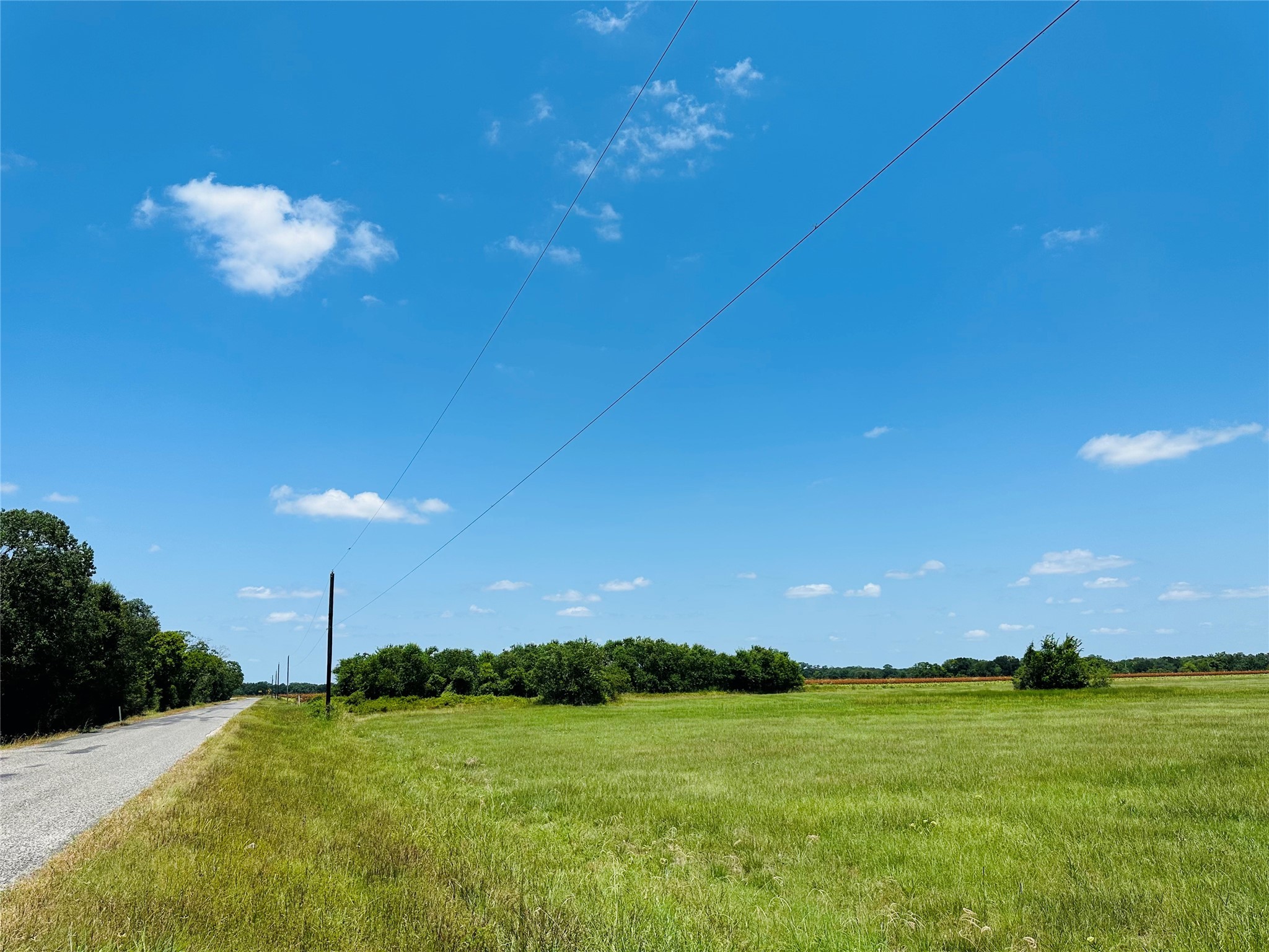 0 Davis Estate Road Needville, TX 77461 - Photo 4 of 22 a view of a big yard of a house with a big yard