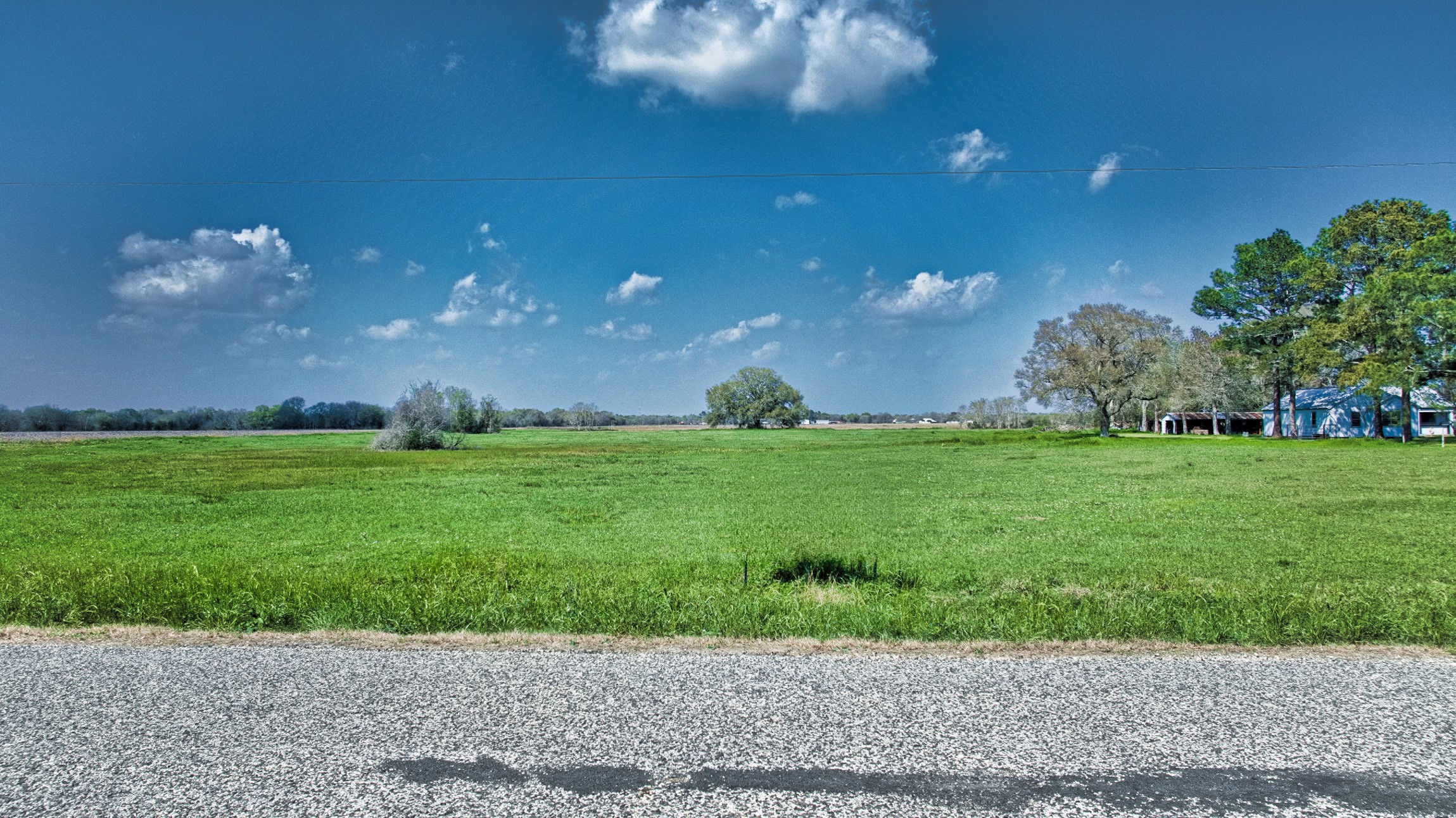 0 Davis Estate Road Needville, TX 77461 - Photo 5 of 22 a view of yard with green space