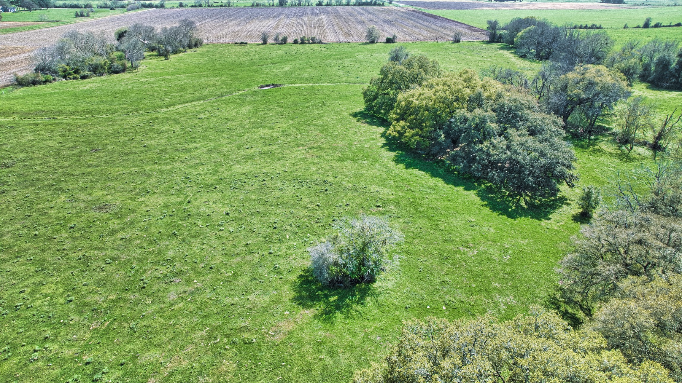 0 Davis Estate Road Needville, TX 77461 - Photo 9 of 22 a view of a lush green space