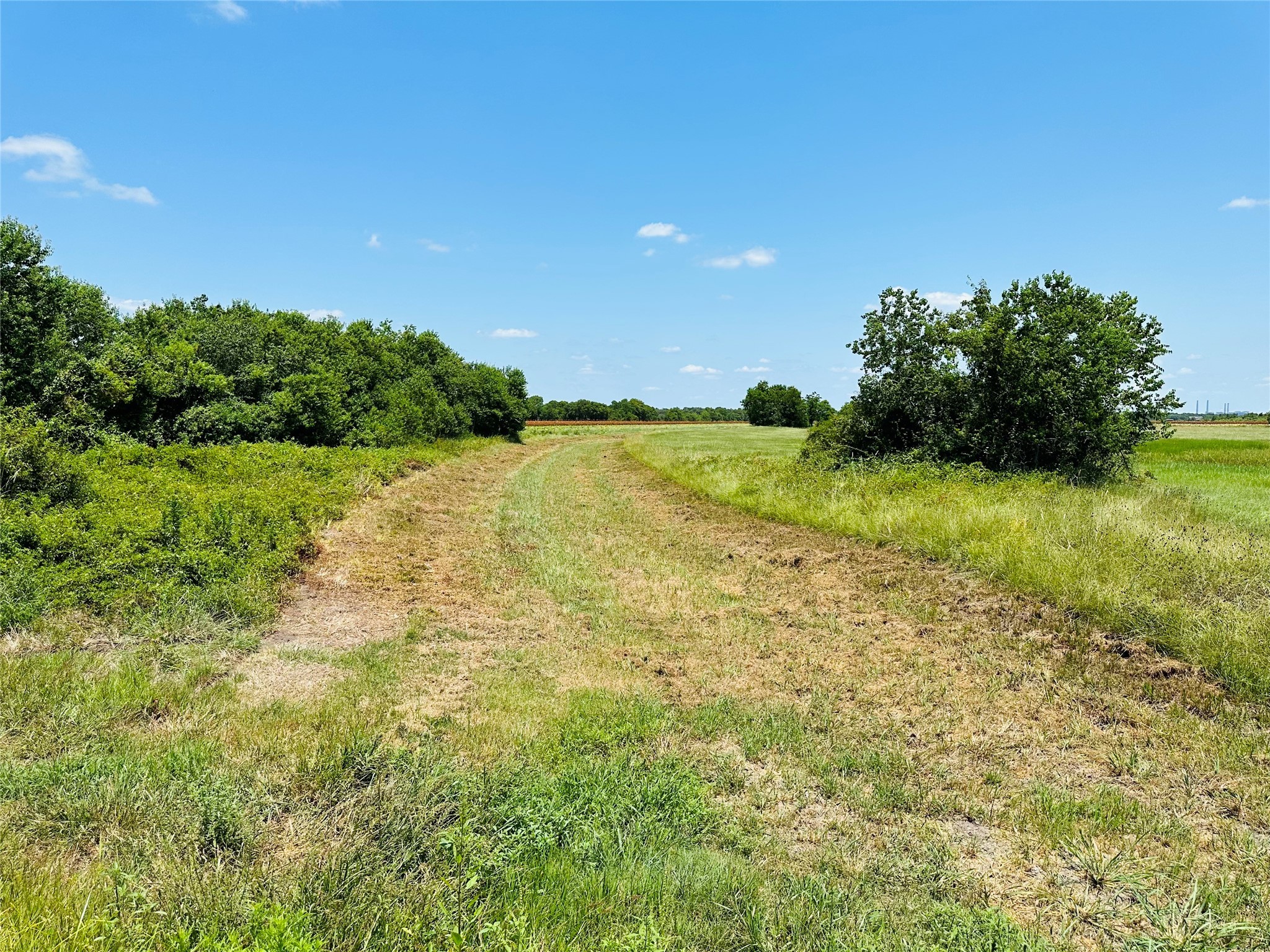 0 Davis Estate Road Needville, TX 77461 - Photo 10 of 22
