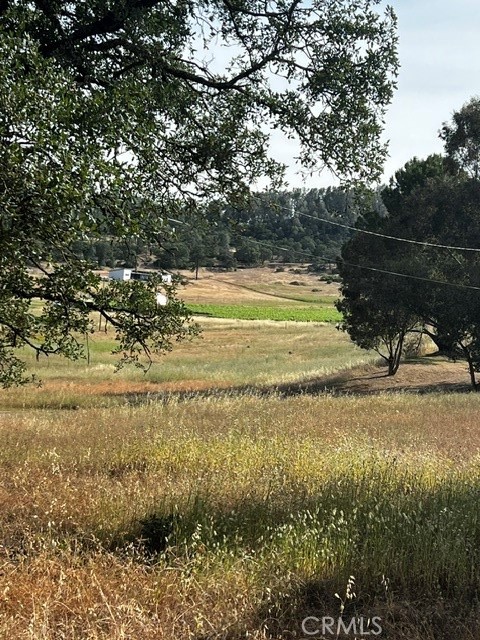 The View