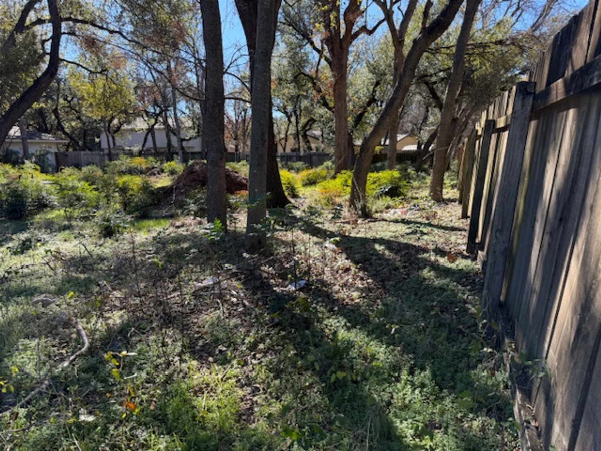 12102 Jollyville Road Austin, TX 78759 - Photo 6 of 7 a view of a yard with plants and tree