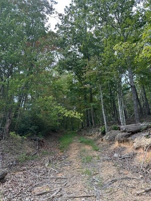 11 Eagle Rock Road Monteagle, TN 37356 - Photo 12 of 16 Danny14