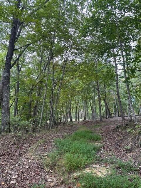 11 Eagle Rock Road Monteagle, TN 37356 - Photo 13 of 16 Danny15