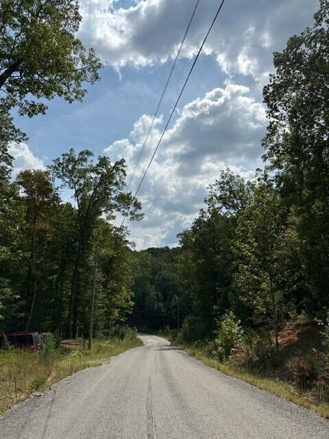 11 Eagle Rock Road Monteagle, TN 37356 - Photo 14 of 16 Danny3