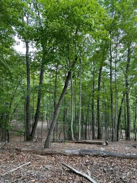 11 Eagle Rock Road Monteagle, TN 37356 - Photo 3 of 16 Danny7