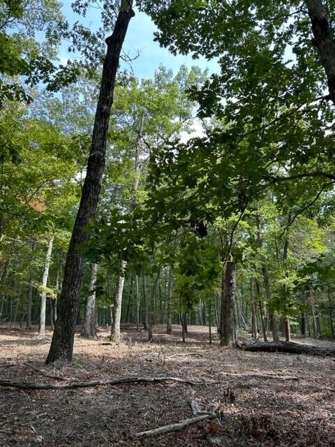11 Eagle Rock Road Monteagle, TN 37356 - Photo 5 of 16 Danny5