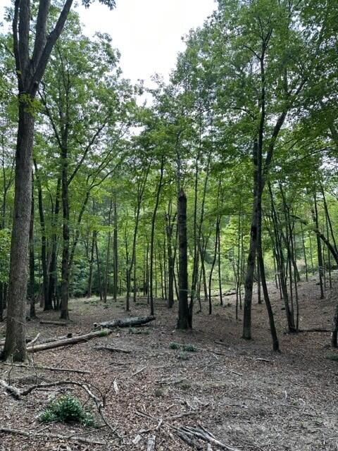 11 Eagle Rock Road Monteagle, TN 37356 - Photo 6 of 16 Danny8
