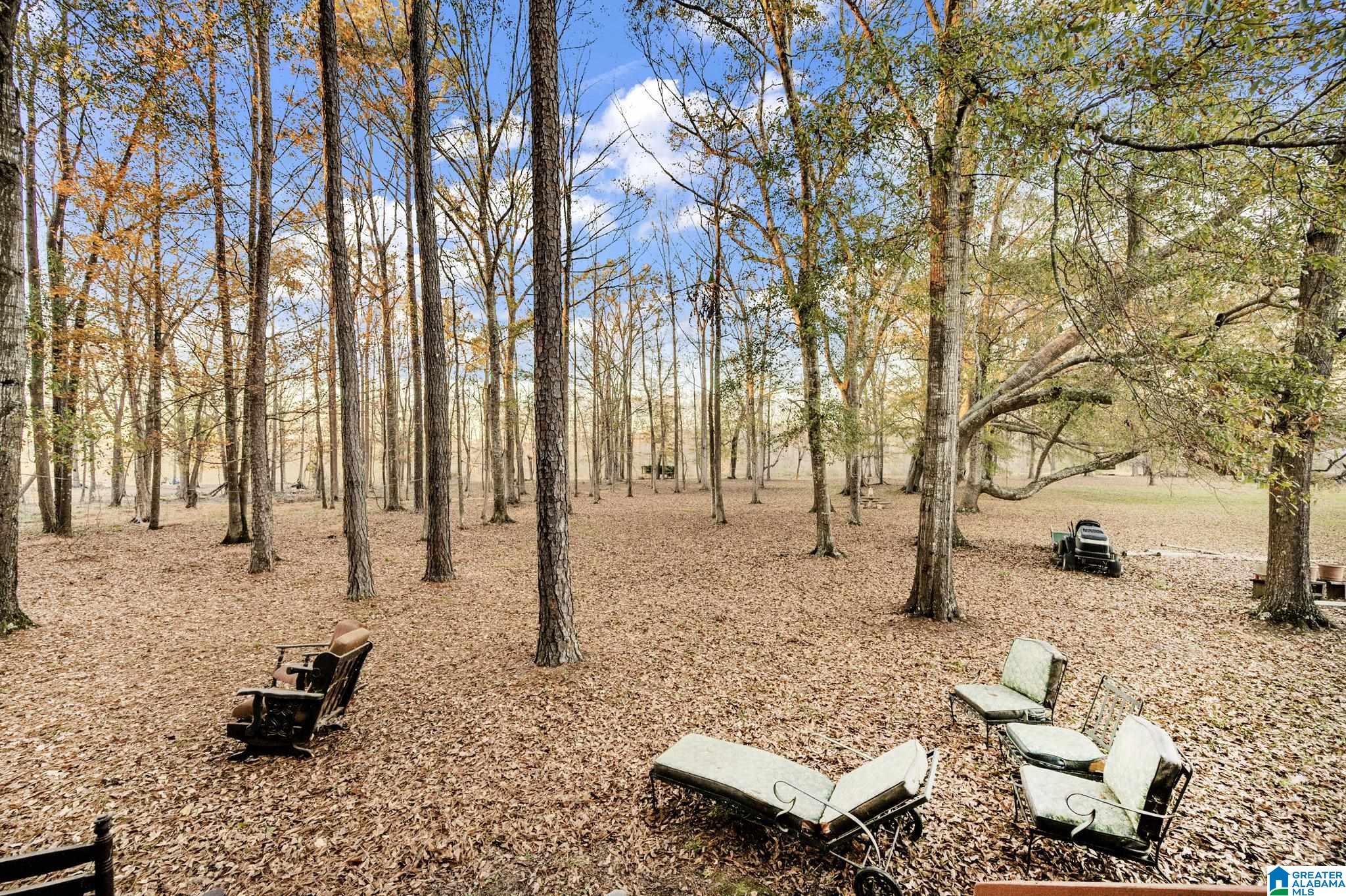 135 River Run Road Childersburg, AL 35044 - Photo 26 of 40