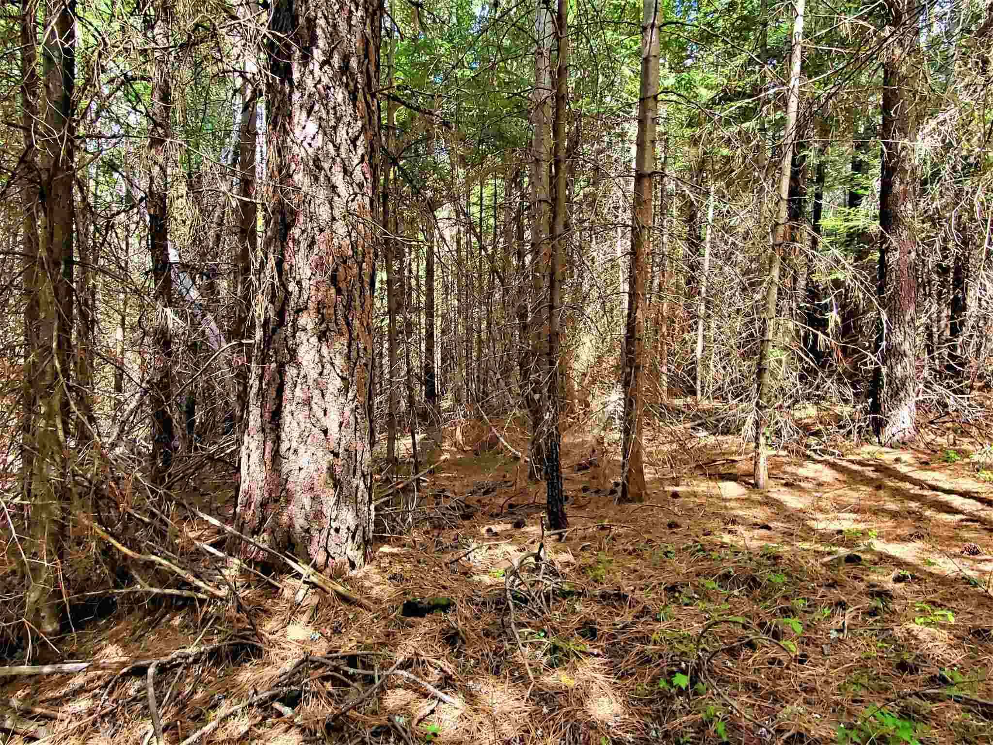 Nkn Beaver Valley Road Newport, WA 99156 - Photo 11 of 24 Gallery Image 11