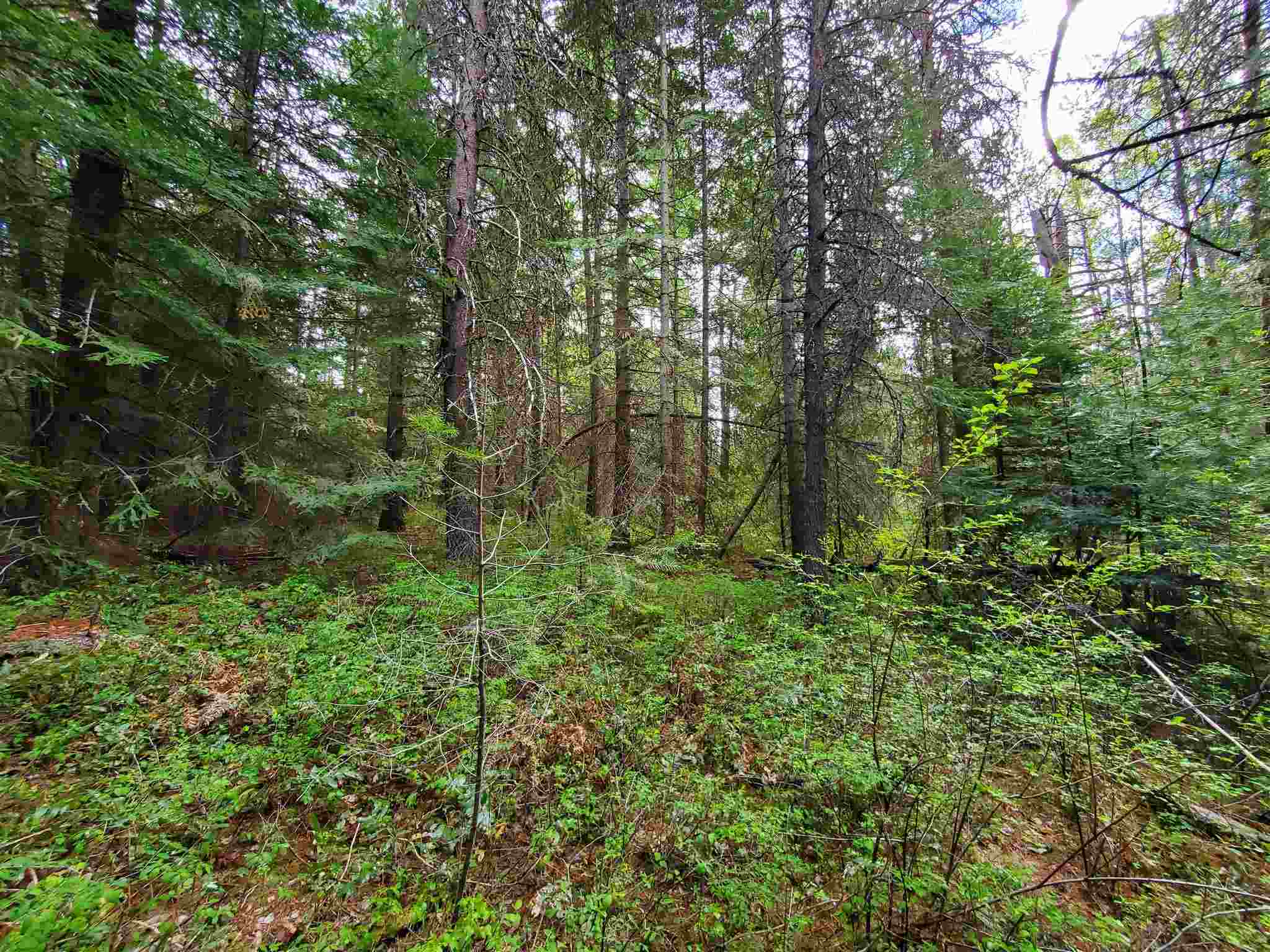 Nkn Beaver Valley Road Newport, WA 99156 - Photo 12 of 24 Gallery Image 12