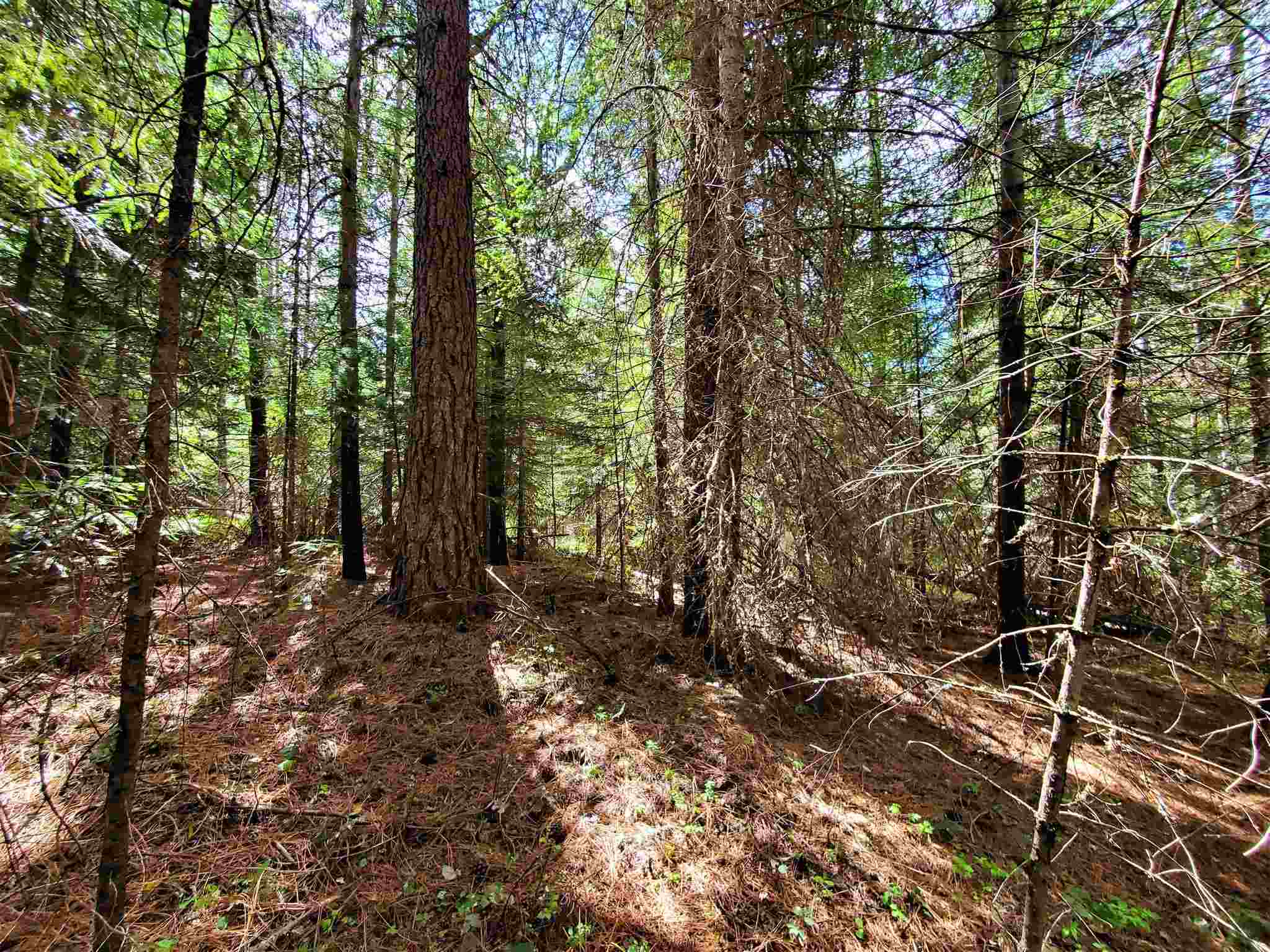 Nkn Beaver Valley Road Newport, WA 99156 - Photo 14 of 24 Gallery Image 14