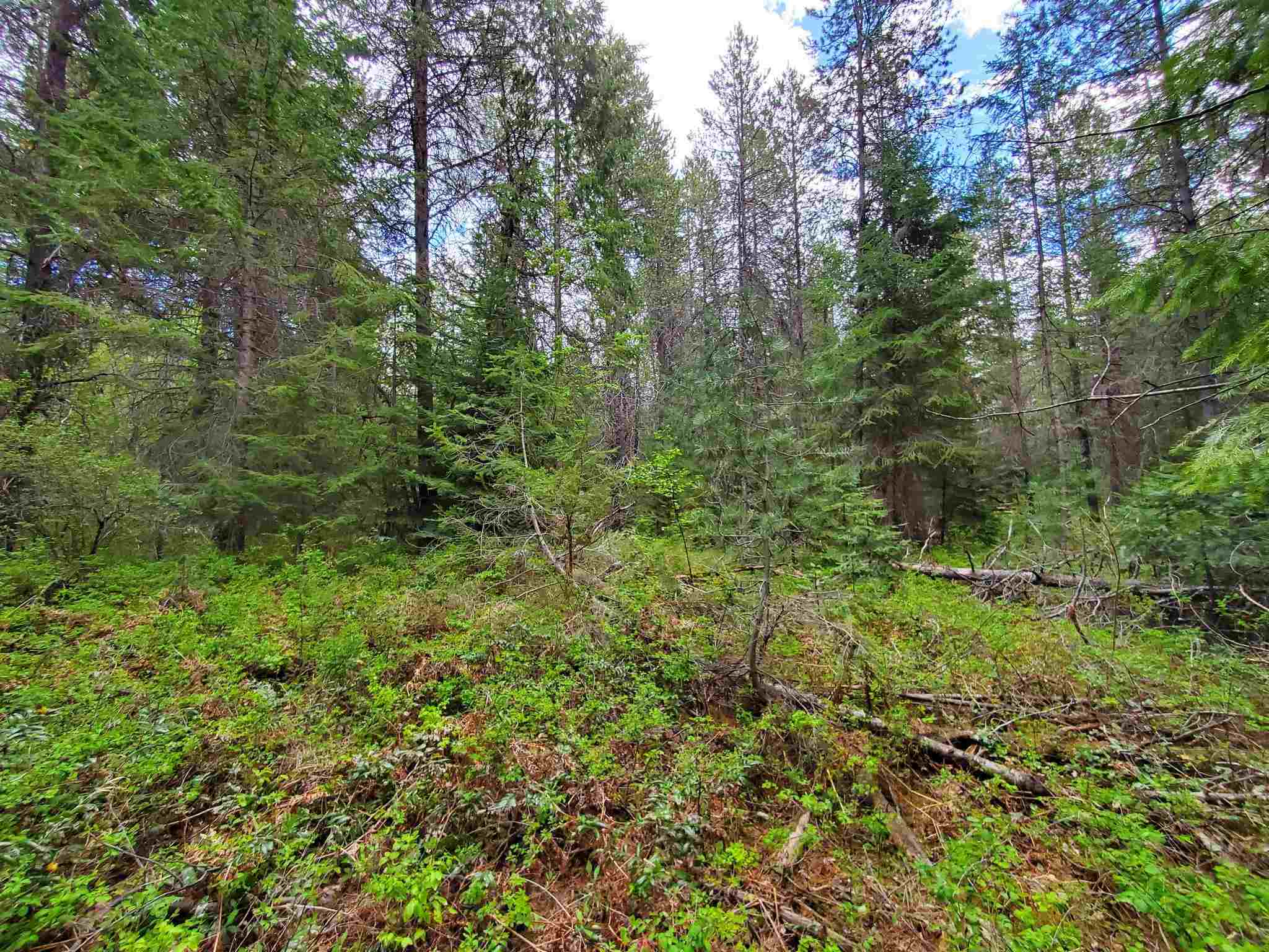 Nkn Beaver Valley Road Newport, WA 99156 - Photo 17 of 24 Gallery Image 17