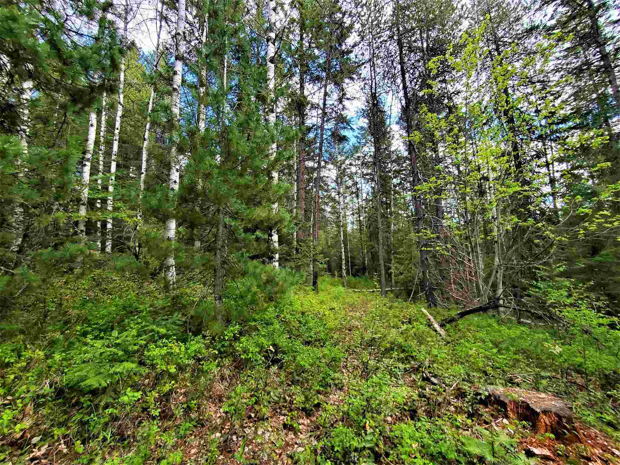 Nkn Beaver Valley Road Newport, WA 99156 - Photo 22 of 24 Gallery Image 22