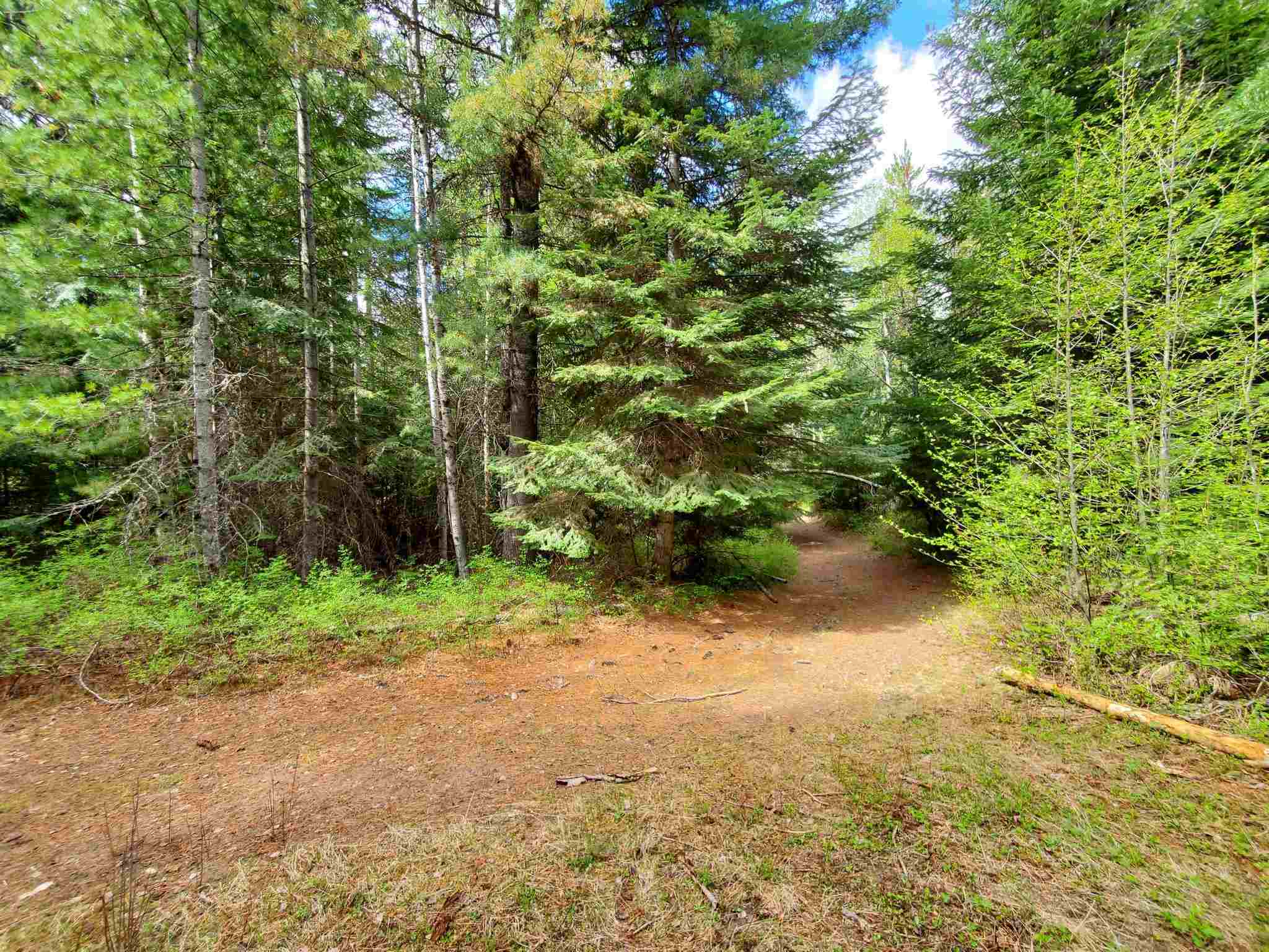 Nkn Beaver Valley Road Newport, WA 99156 - Photo 8 of 24 Gallery Image 8