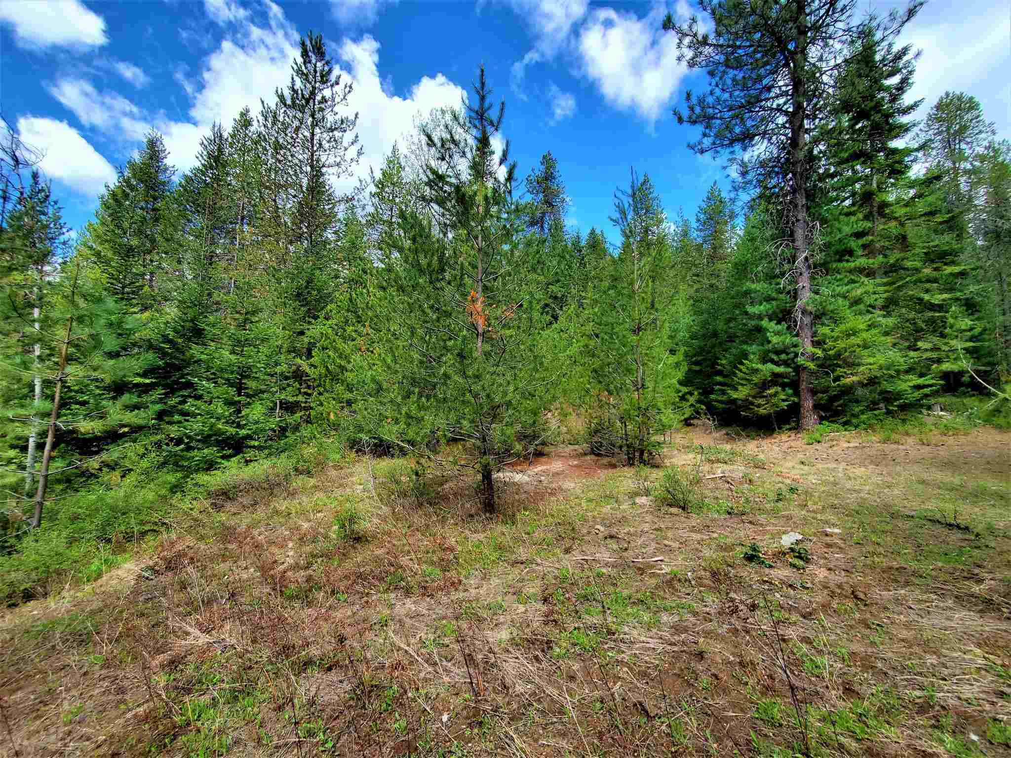 Nkn Beaver Valley Road Newport, WA 99156 - Photo 9 of 24 Gallery Image 9