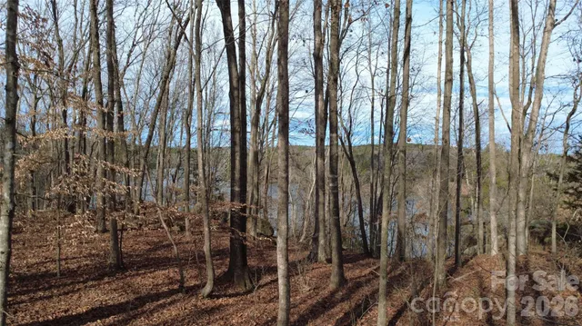 a view of a yard with trees