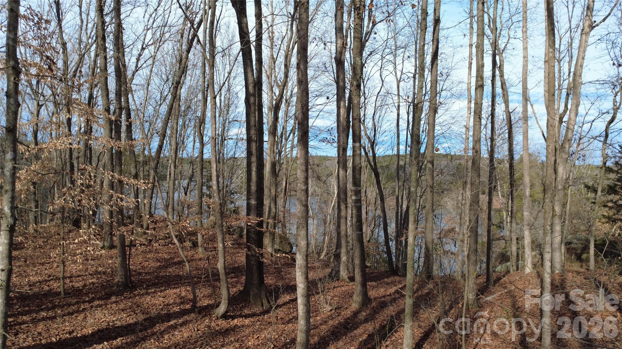 3111 Catawba Road Great Falls, SC 29055 - Photo 11 of 17