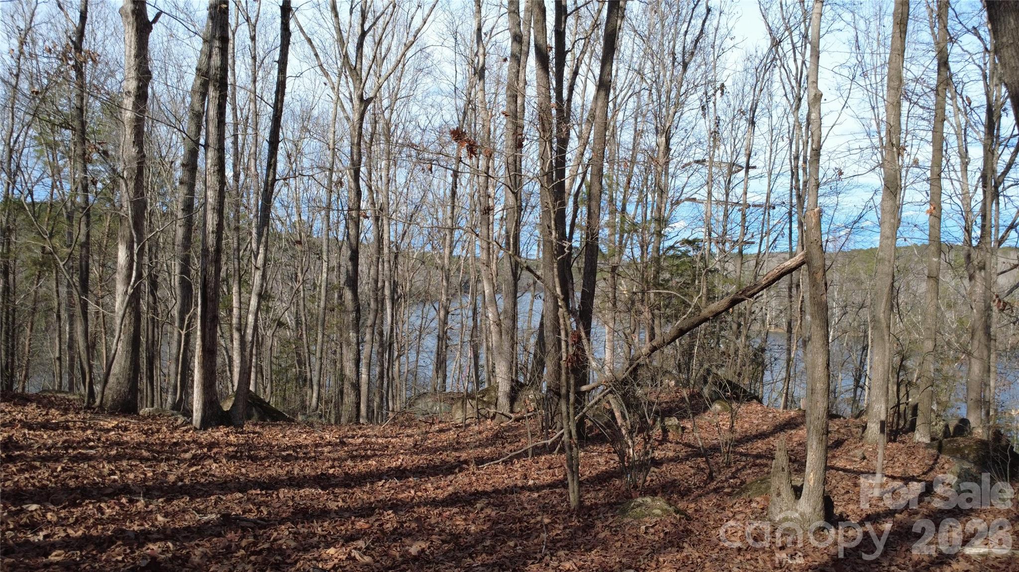 3111 Catawba Road Great Falls, SC 29055 - Photo 12 of 17 a view of a backyard of the house