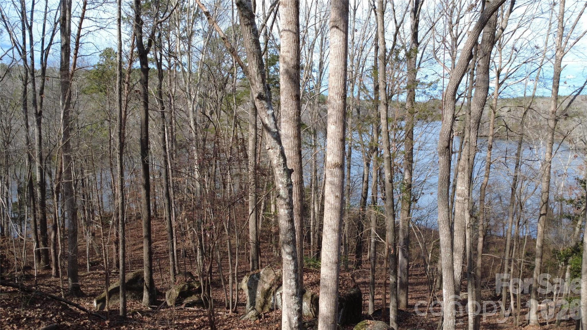 3111 Catawba Road Great Falls, SC 29055 - Photo 13 of 17 a view of a forest with a building