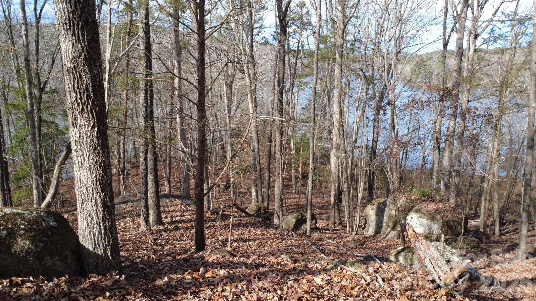 3111 Catawba Road Great Falls, SC 29055 - Photo 14 of 17 a view of a yard with trees