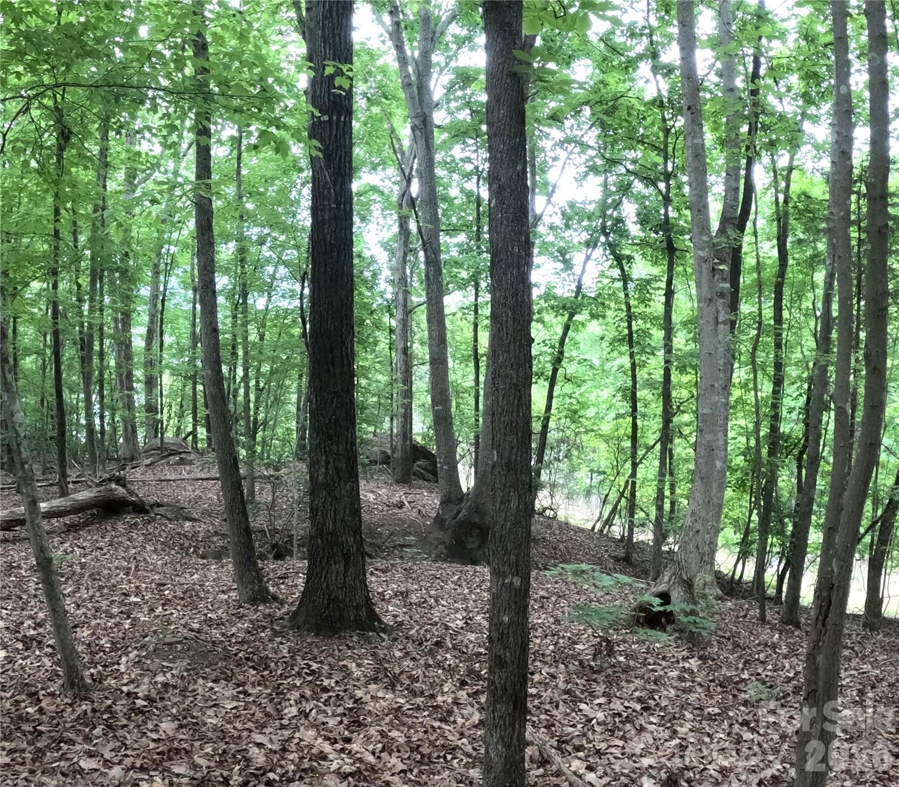 3111 Catawba Road Great Falls, SC 29055 - Photo 16 of 17