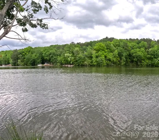 a view of a yard with plants and trees