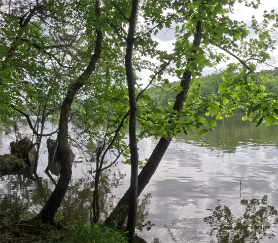 a body of water with a tree in the background