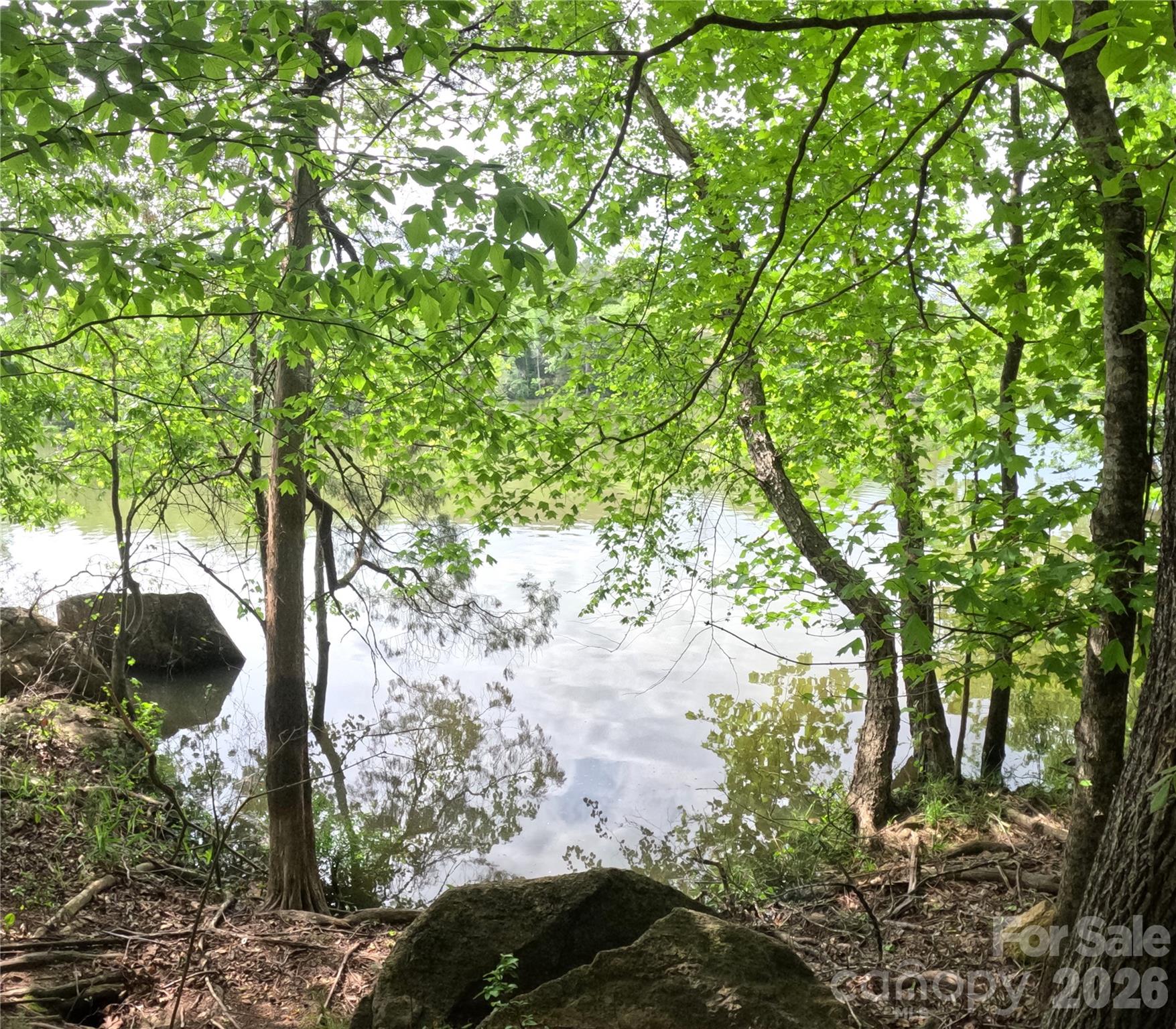 3111 Catawba Road Great Falls, SC 29055 - Photo 7 of 17 a view of a tree in a backyard of a house