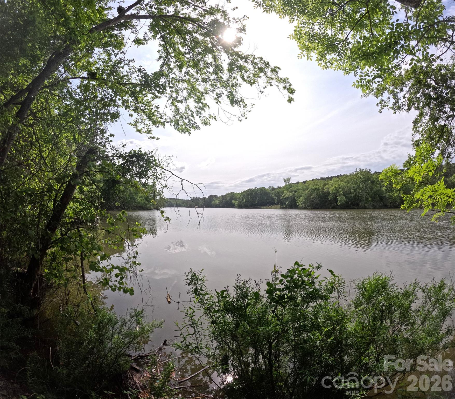 3111 Catawba Road Great Falls, SC 29055 - Photo 8 of 17 a body of water with a tree in the background