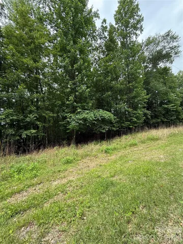a view of a backyard of the house