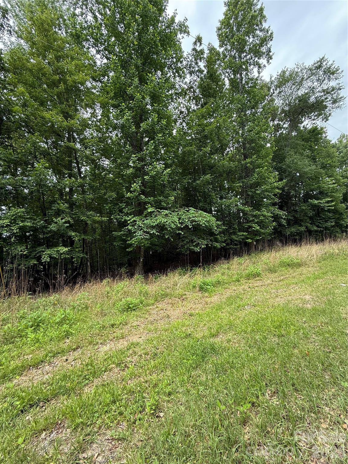 3111 Catawba Road Great Falls, SC 29055 - Photo 9 of 17 a view of a green yard