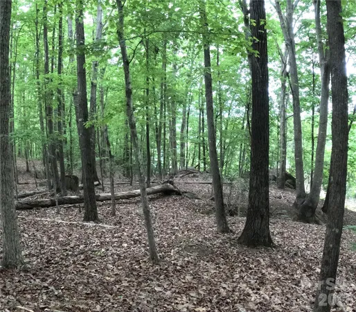 a view of a forest with a building