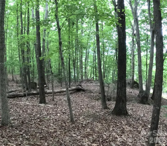 a view of a forest with a building